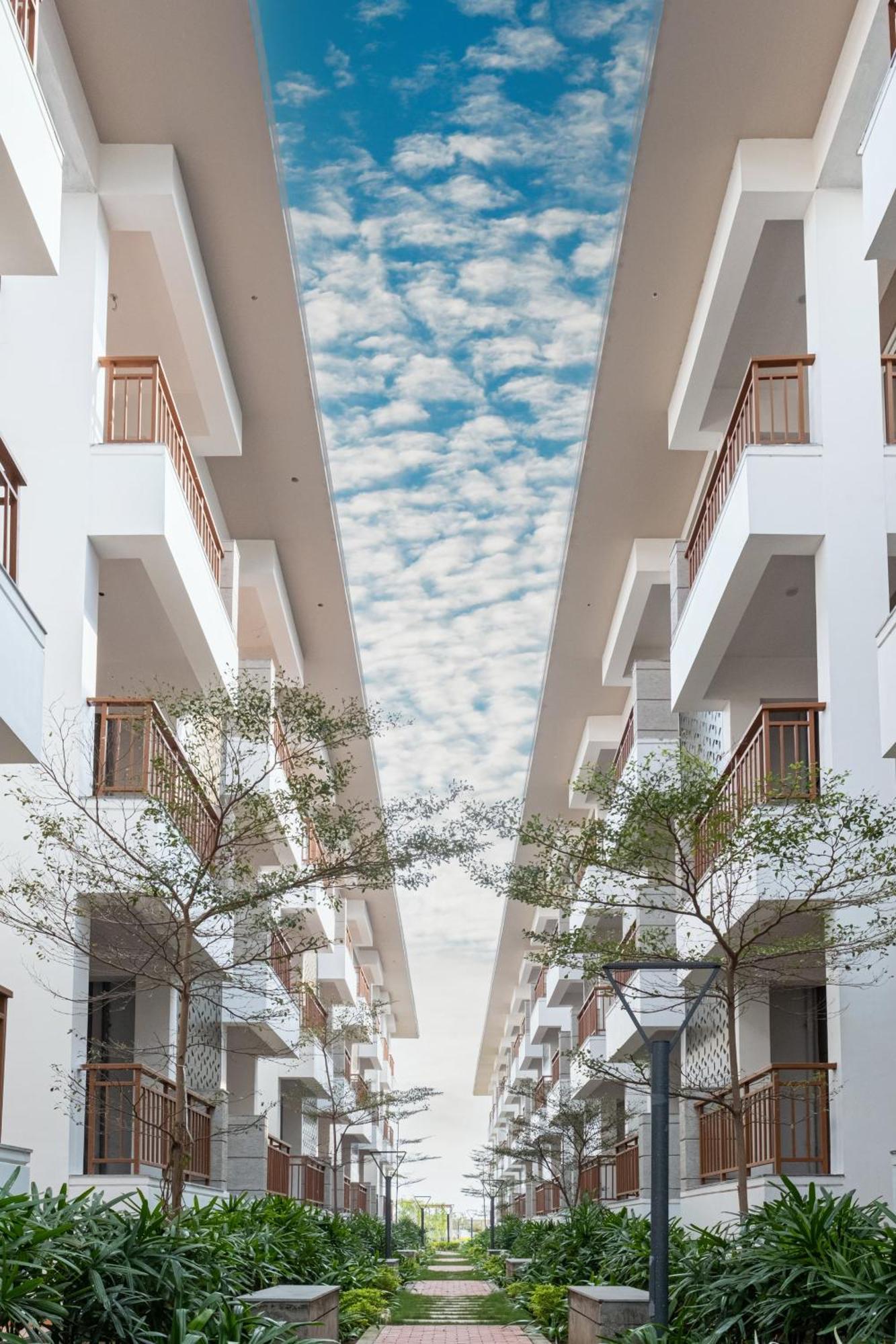 Palm Regal * Gopalpur (Odisha)