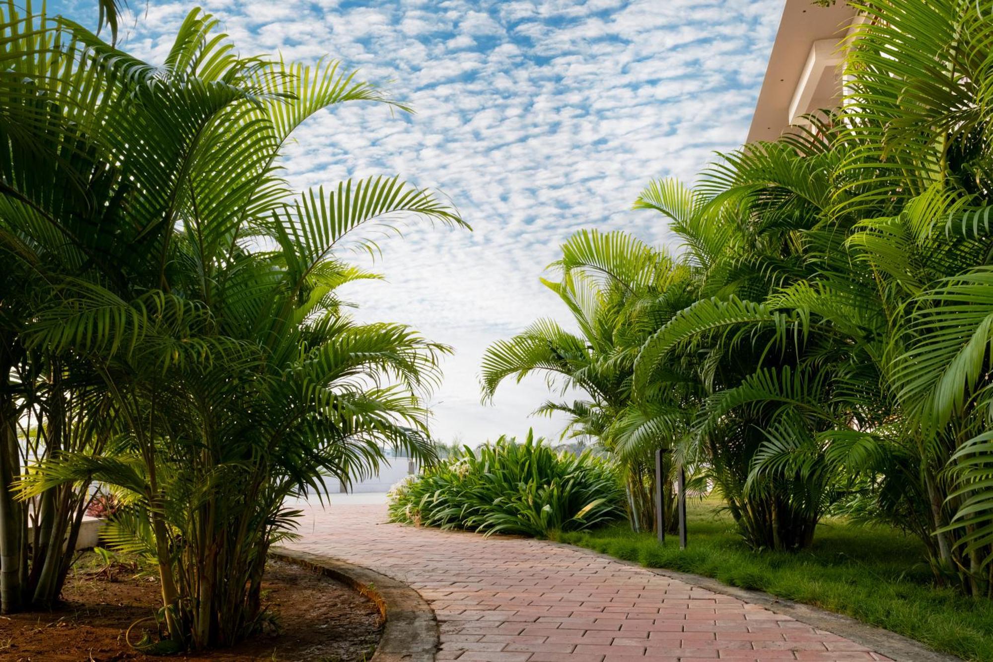 Palm Regal Gopalpur (Odisha)